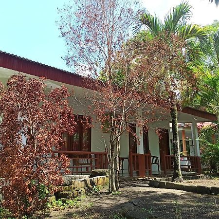 Tangkoko Jungle Homestay Rinondoran Esterno foto