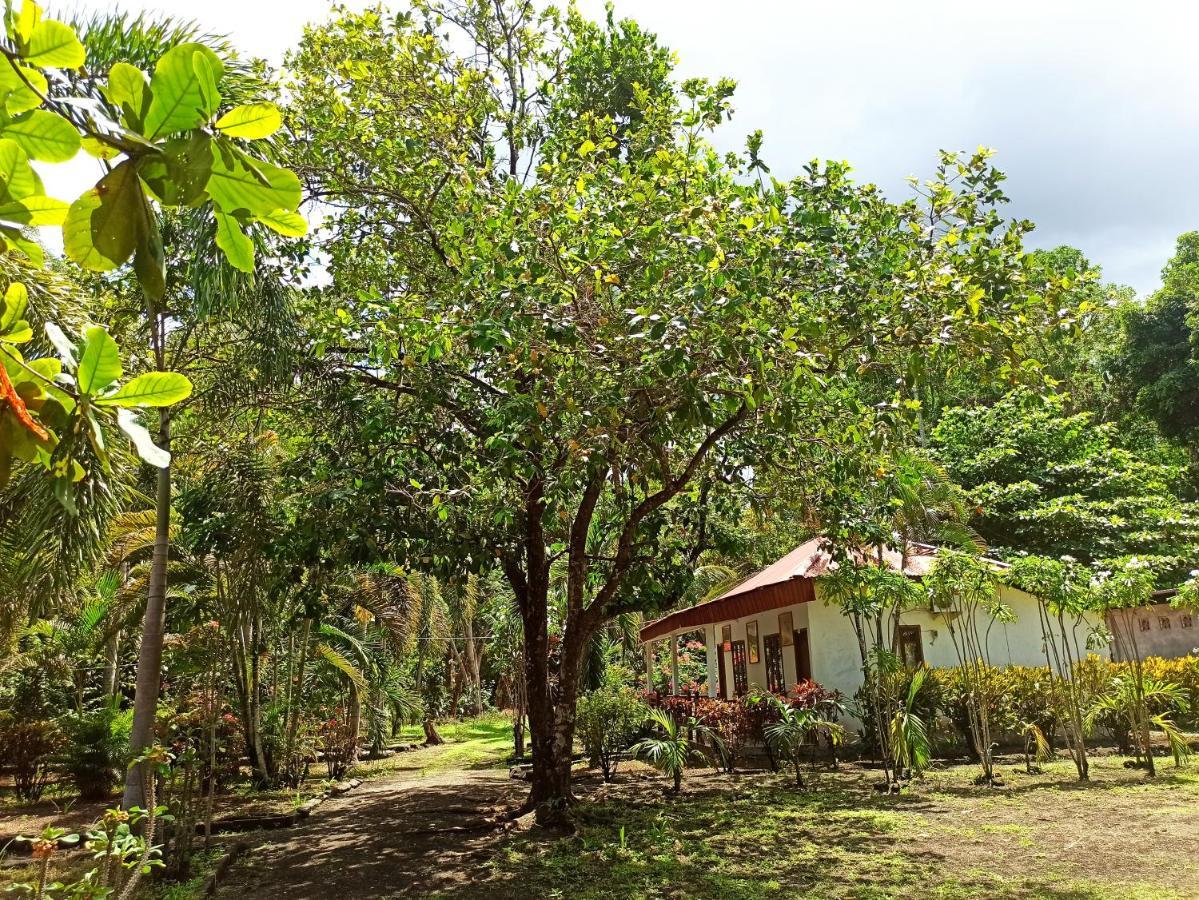 Tangkoko Jungle Homestay Rinondoran Esterno foto
