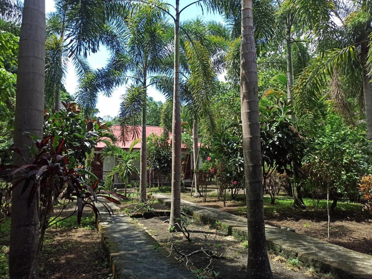 Tangkoko Jungle Homestay Rinondoran Esterno foto